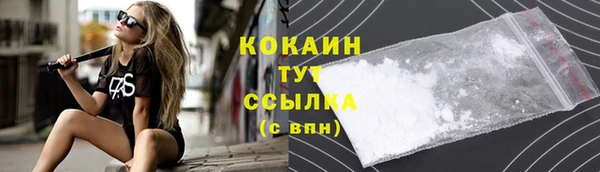 мет Арсеньев